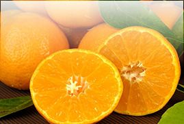 Synthetic and natural acids product