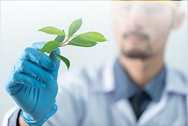 Synthetic and natural aldehyde product